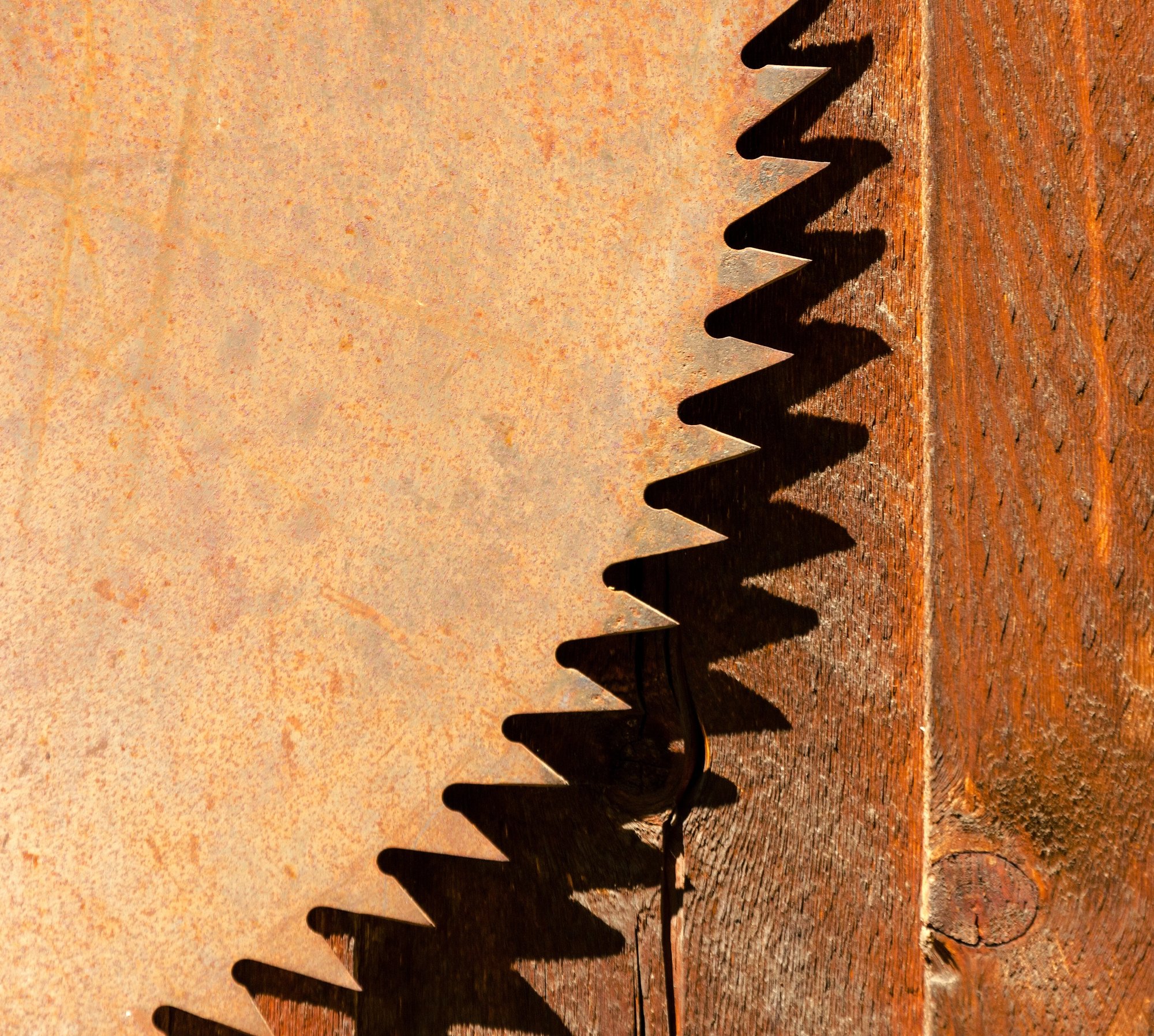 rusted-blade-of-an-old-circular-saw-2026-01-11-09-49-47-utc-1 rusted-blade-of-an-old-circular-saw-2026-01-11-09-49-47-utc-1