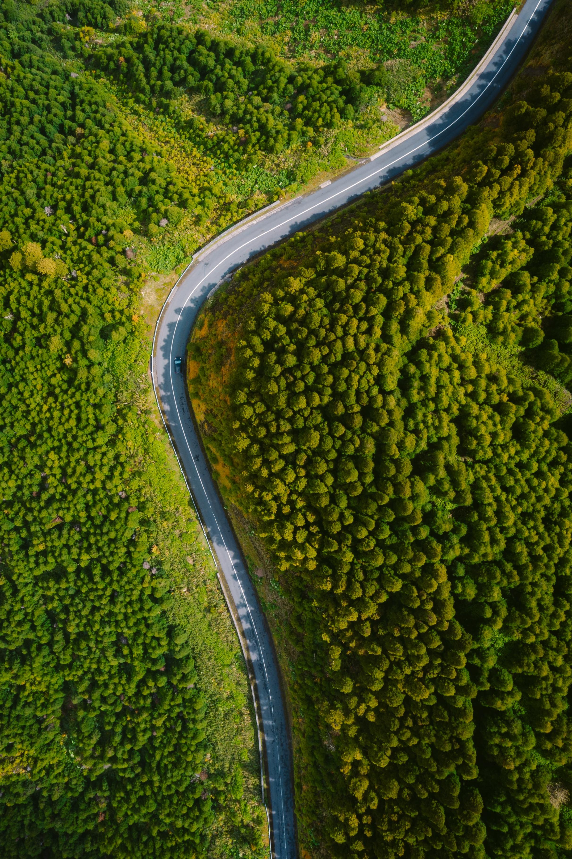 damir-babacic--5fL5uvvIDQ-unsplash-1